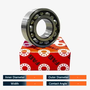 FAG Double Row Angular Contact Ball Bearing