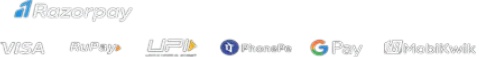 Payment Logo Icon